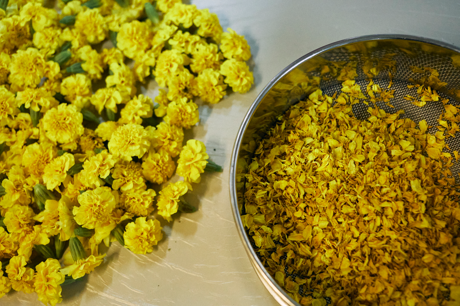 9-jour.ブランドストーリーを公開しました